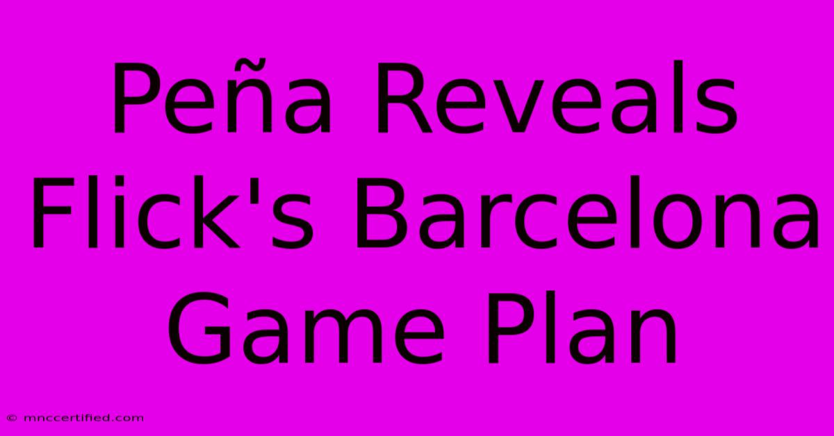 Peña Reveals Flick's Barcelona Game Plan