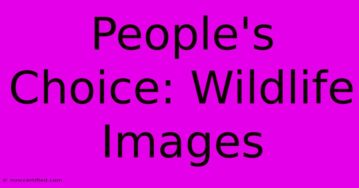 People's Choice: Wildlife Images