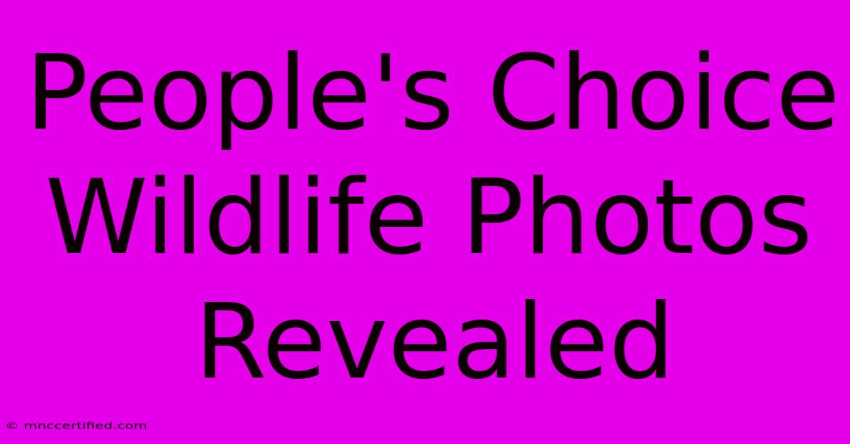 People's Choice Wildlife Photos Revealed