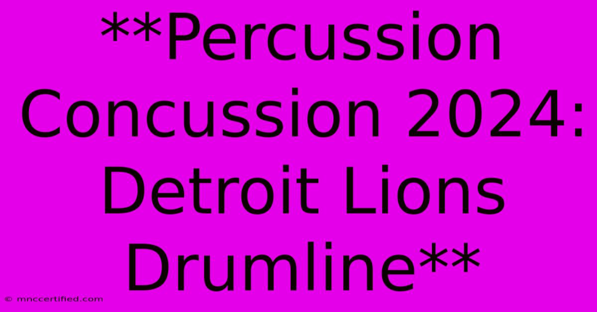 **Percussion Concussion 2024: Detroit Lions Drumline**