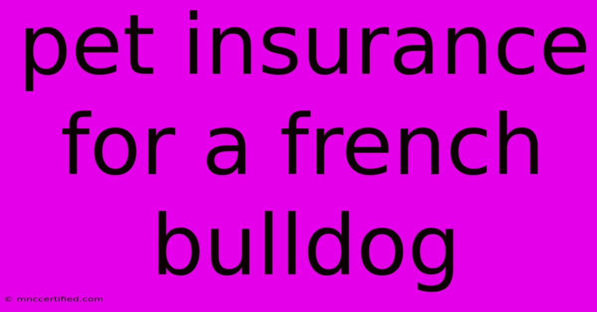 Pet Insurance For A French Bulldog