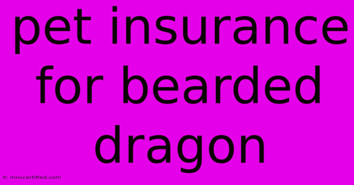 Pet Insurance For Bearded Dragon