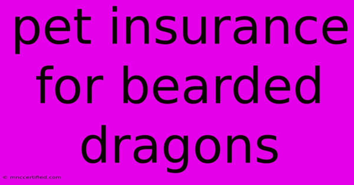 Pet Insurance For Bearded Dragons