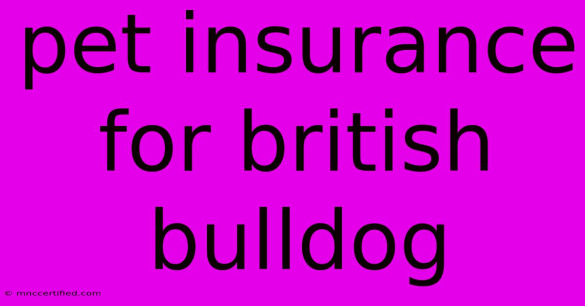 Pet Insurance For British Bulldog