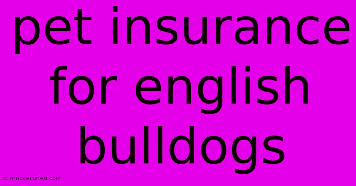 Pet Insurance For English Bulldogs