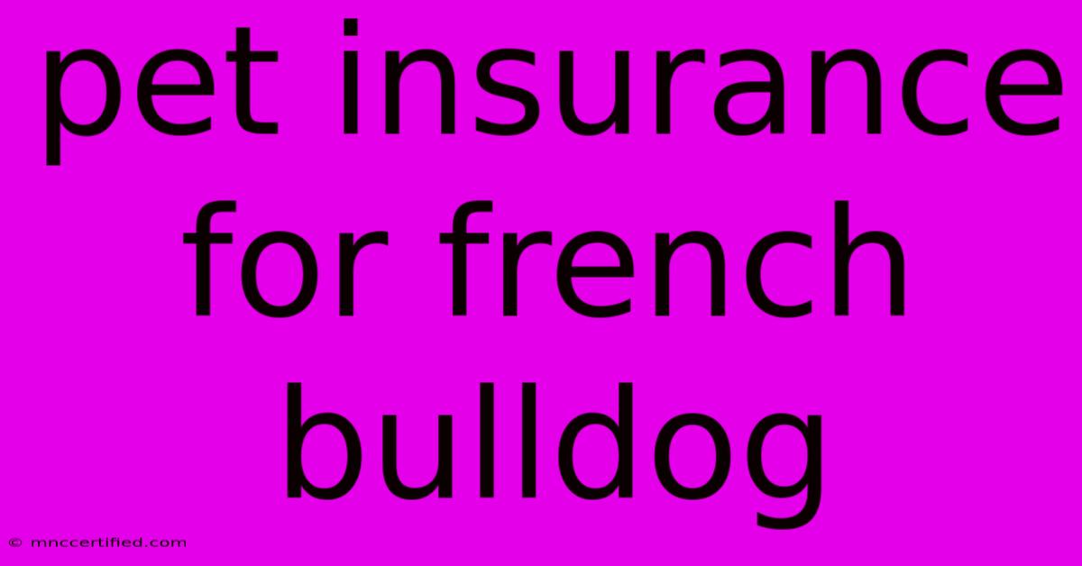 Pet Insurance For French Bulldog