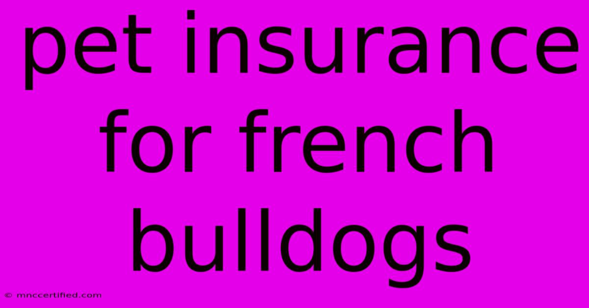 Pet Insurance For French Bulldogs