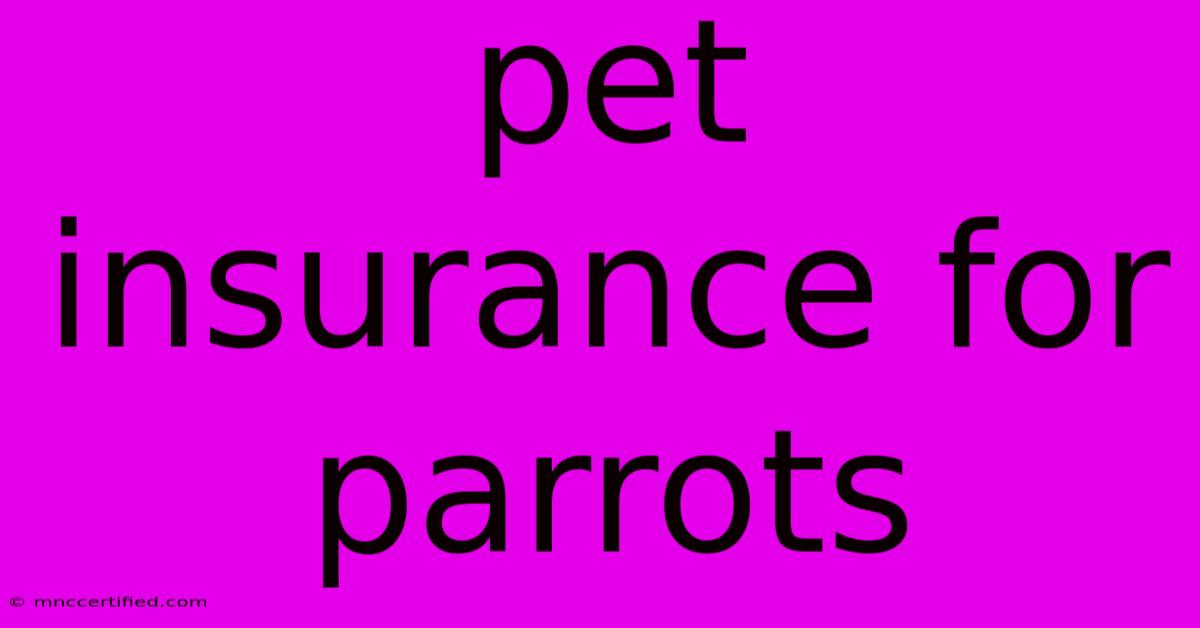 Pet Insurance For Parrots