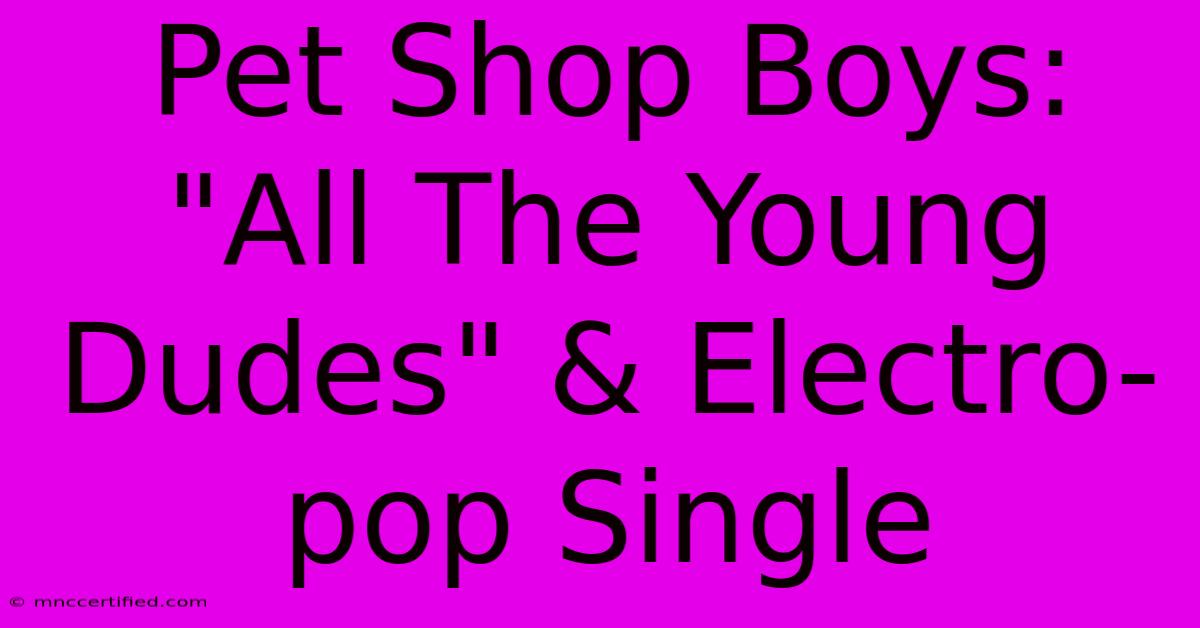 Pet Shop Boys: 