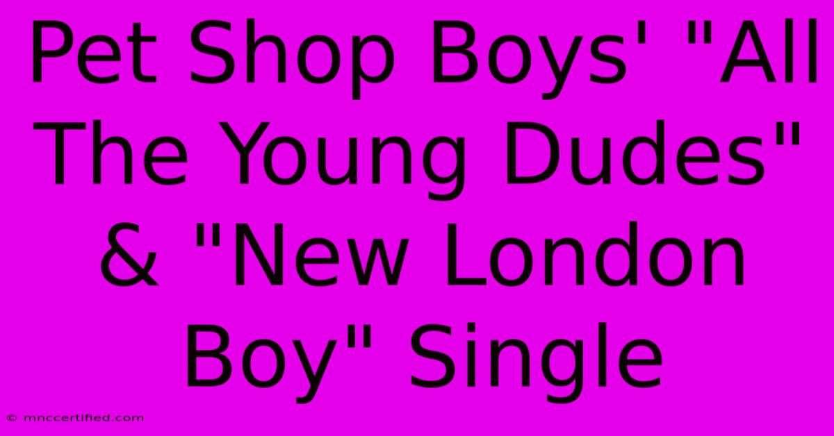 Pet Shop Boys' 