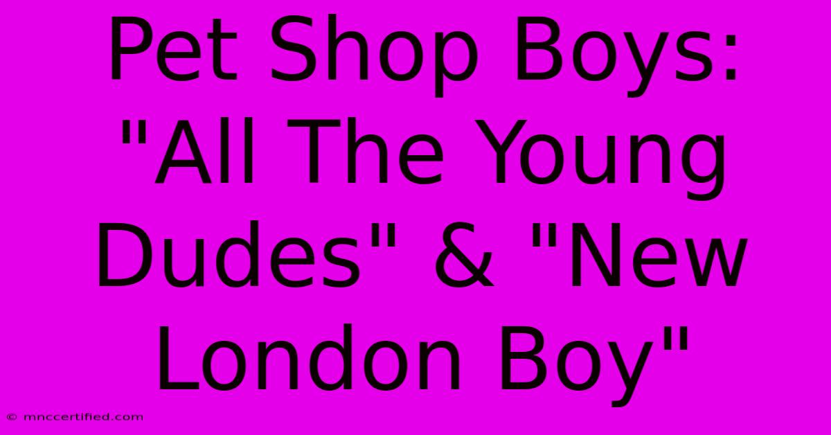 Pet Shop Boys: 