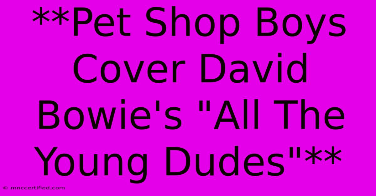 **Pet Shop Boys Cover David Bowie's 