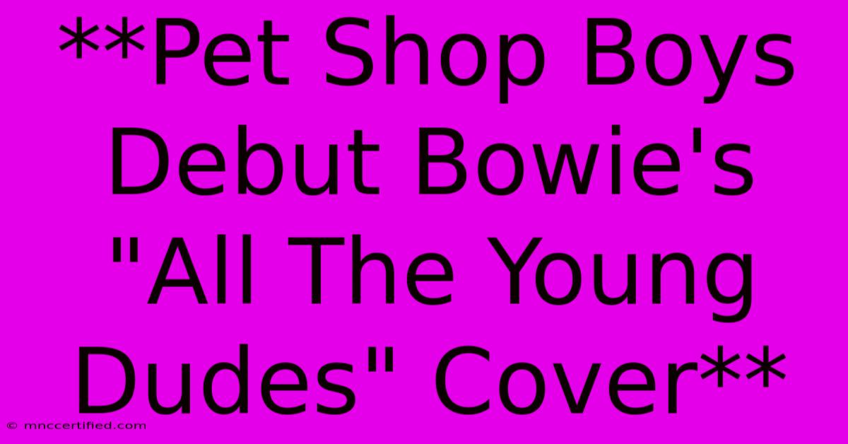 **Pet Shop Boys Debut Bowie's 