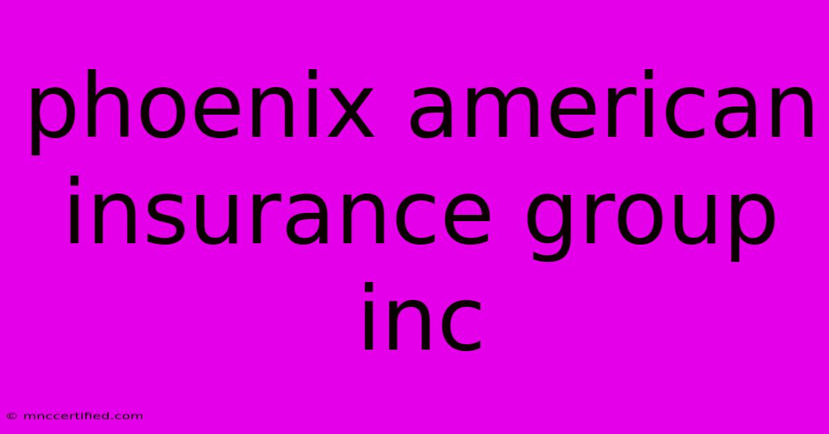 Phoenix American Insurance Group Inc