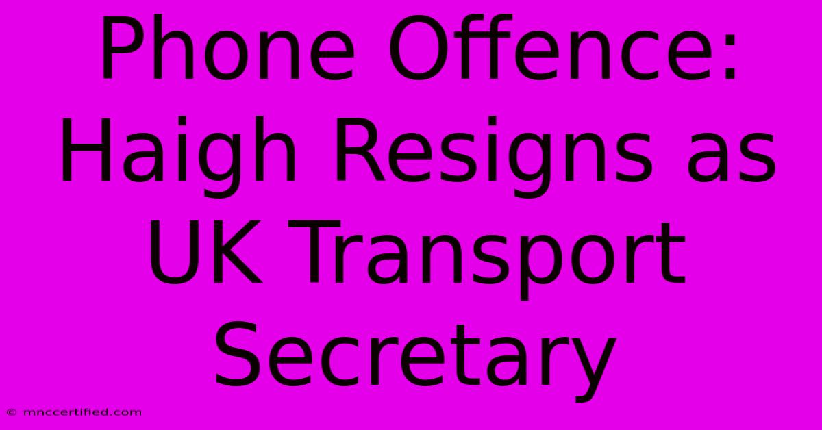 Phone Offence: Haigh Resigns As UK Transport Secretary