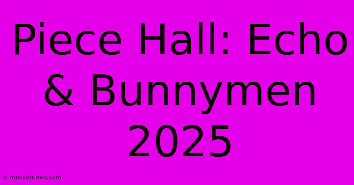 Piece Hall: Echo & Bunnymen 2025