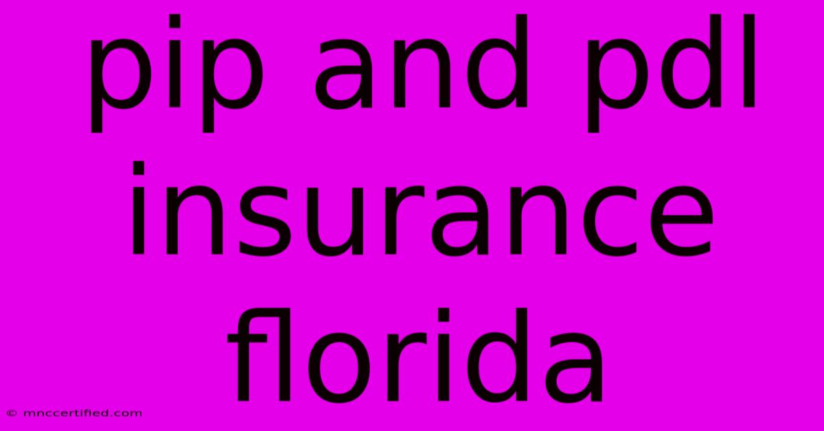 Pip And Pdl Insurance Florida