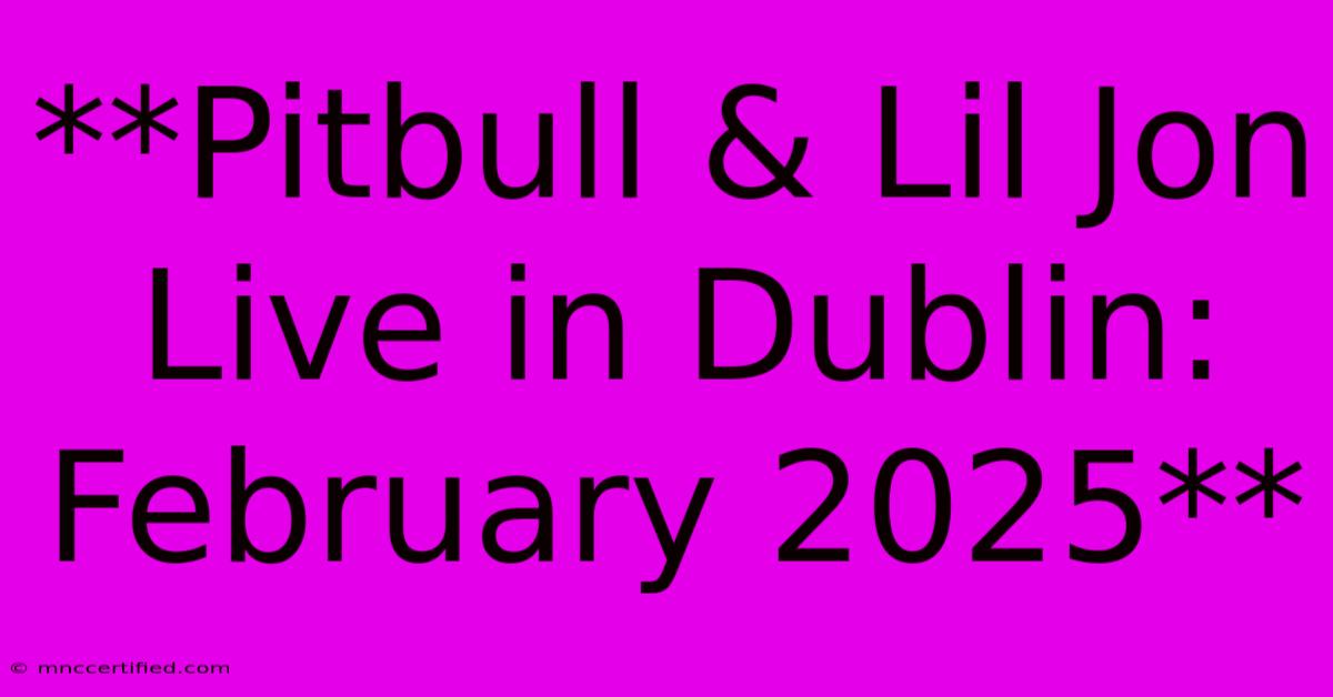 **Pitbull & Lil Jon Live In Dublin: February 2025**