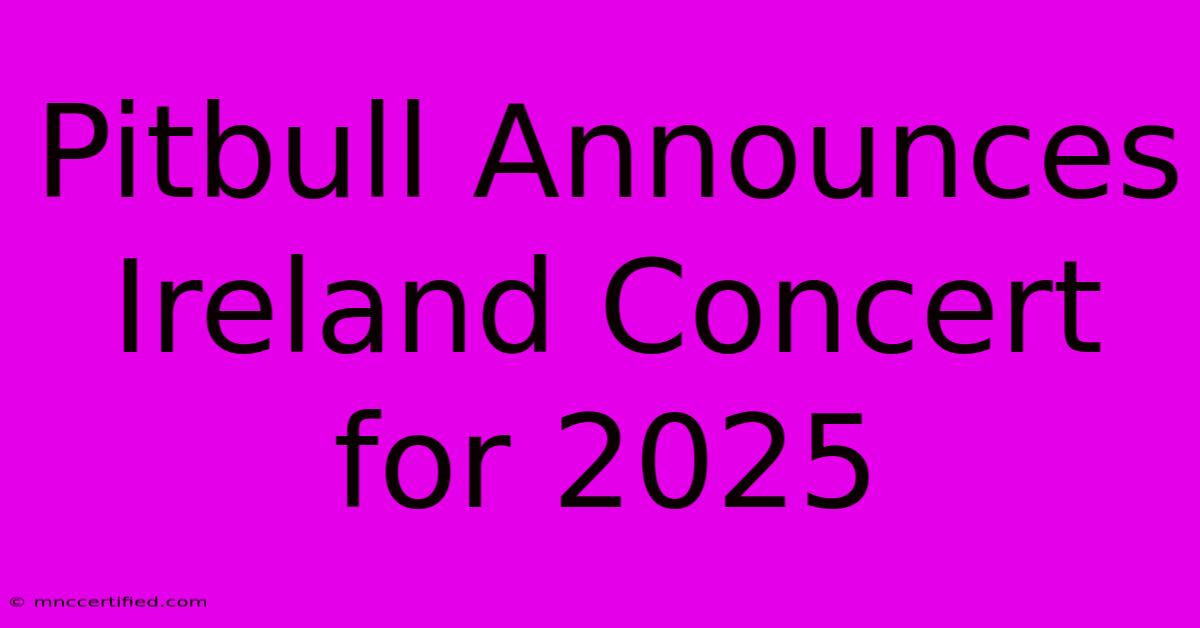 Pitbull Announces Ireland Concert For 2025