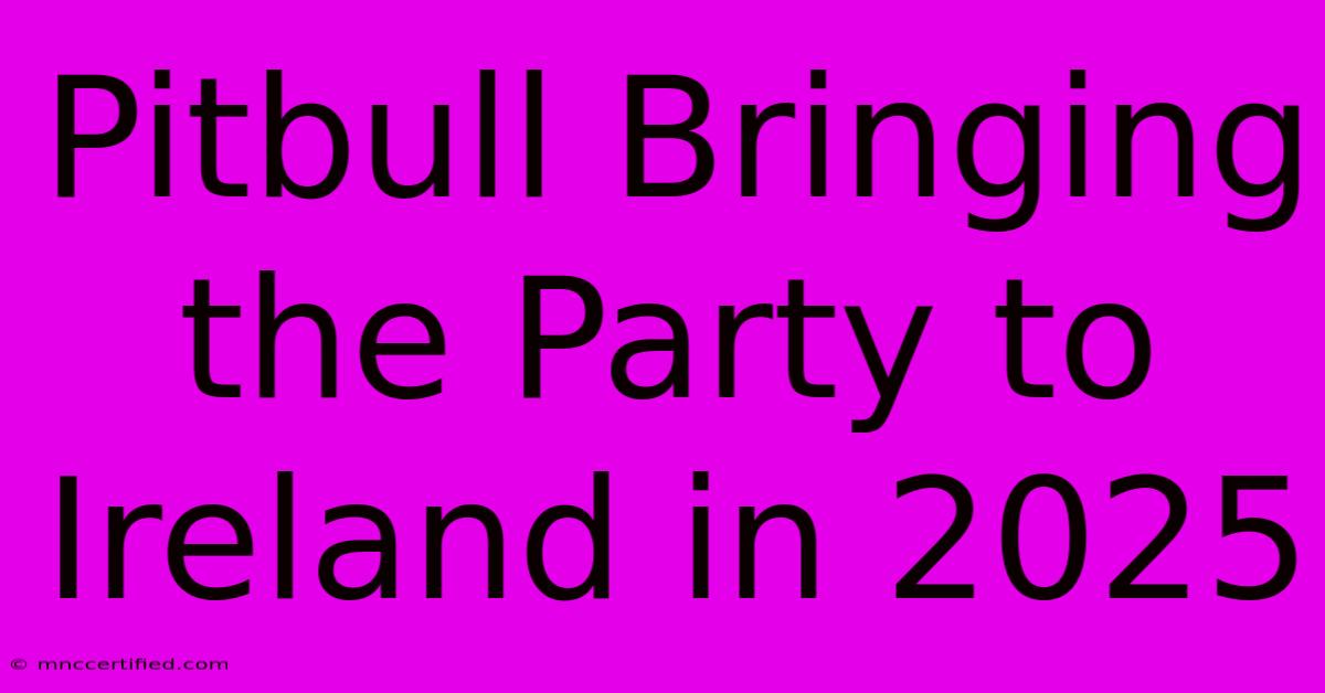 Pitbull Bringing The Party To Ireland In 2025