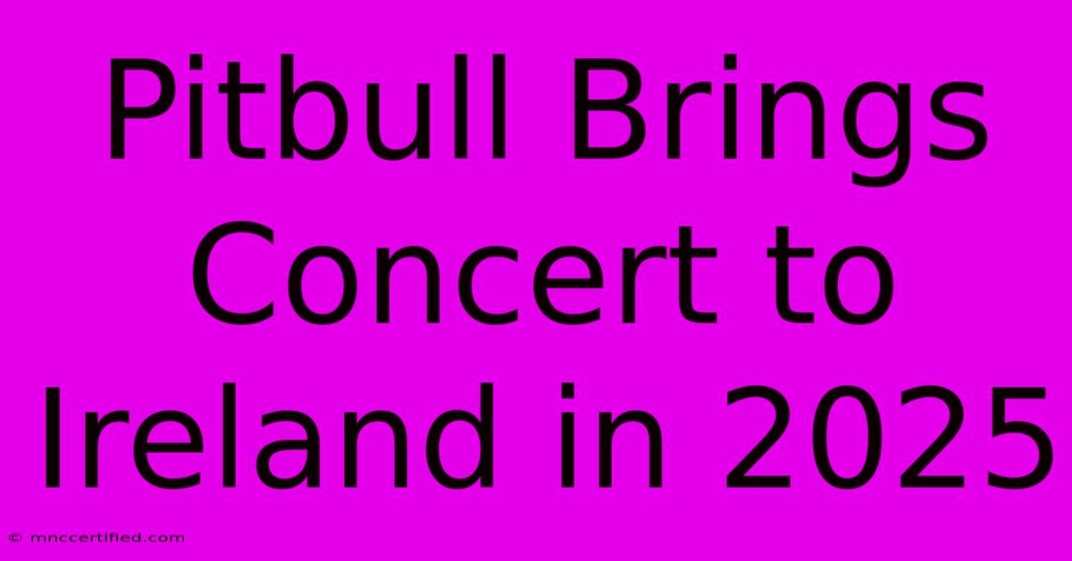 Pitbull Brings Concert To Ireland In 2025