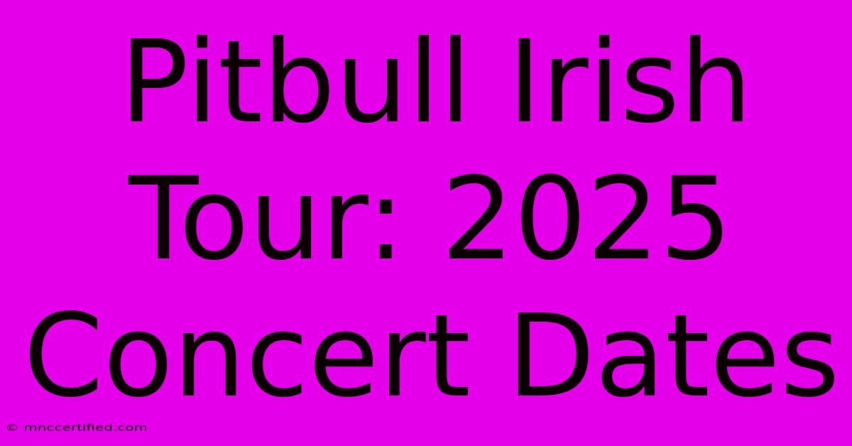 Pitbull Irish Tour: 2025 Concert Dates 