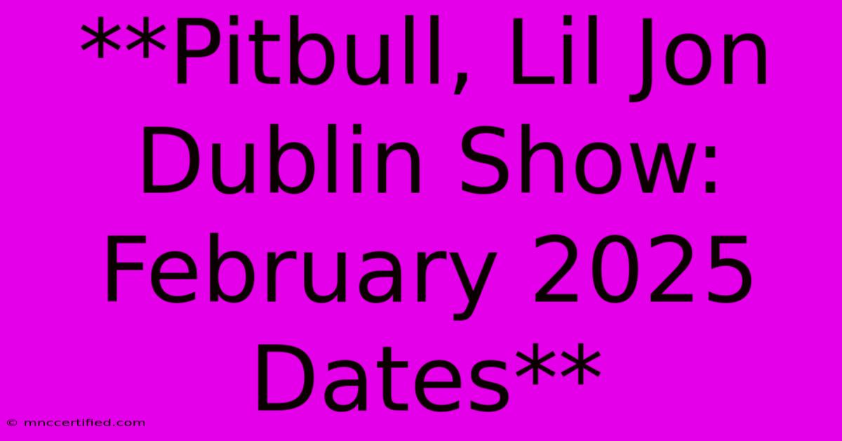 **Pitbull, Lil Jon Dublin Show: February 2025 Dates**