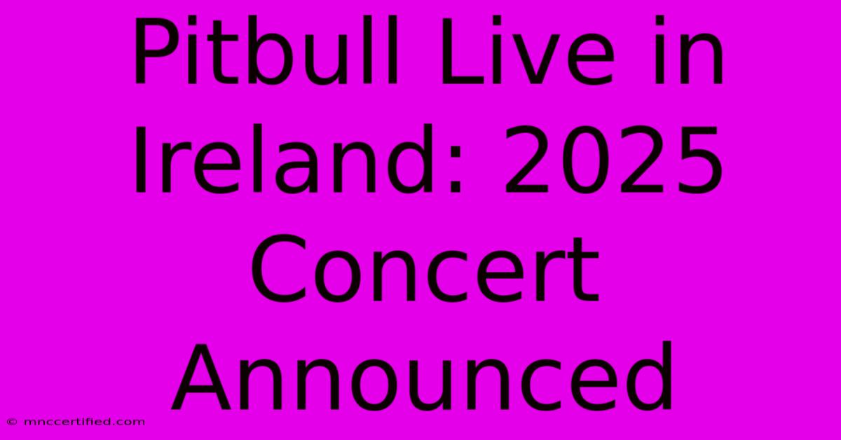 Pitbull Live In Ireland: 2025 Concert Announced