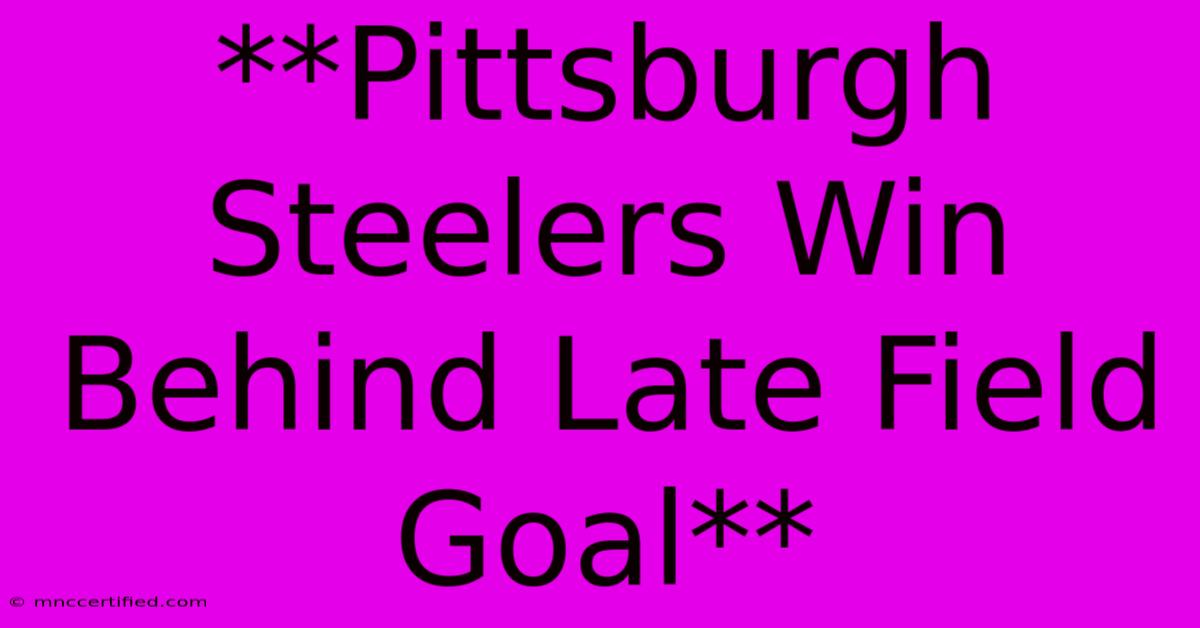 **Pittsburgh Steelers Win Behind Late Field Goal** 