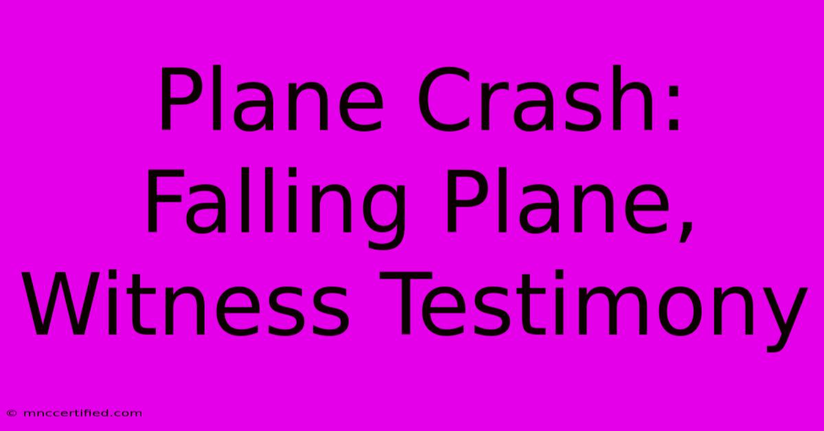 Plane Crash: Falling Plane, Witness Testimony