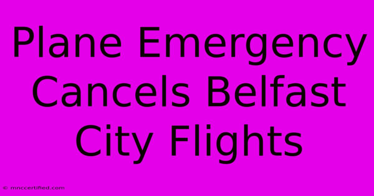 Plane Emergency Cancels Belfast City Flights