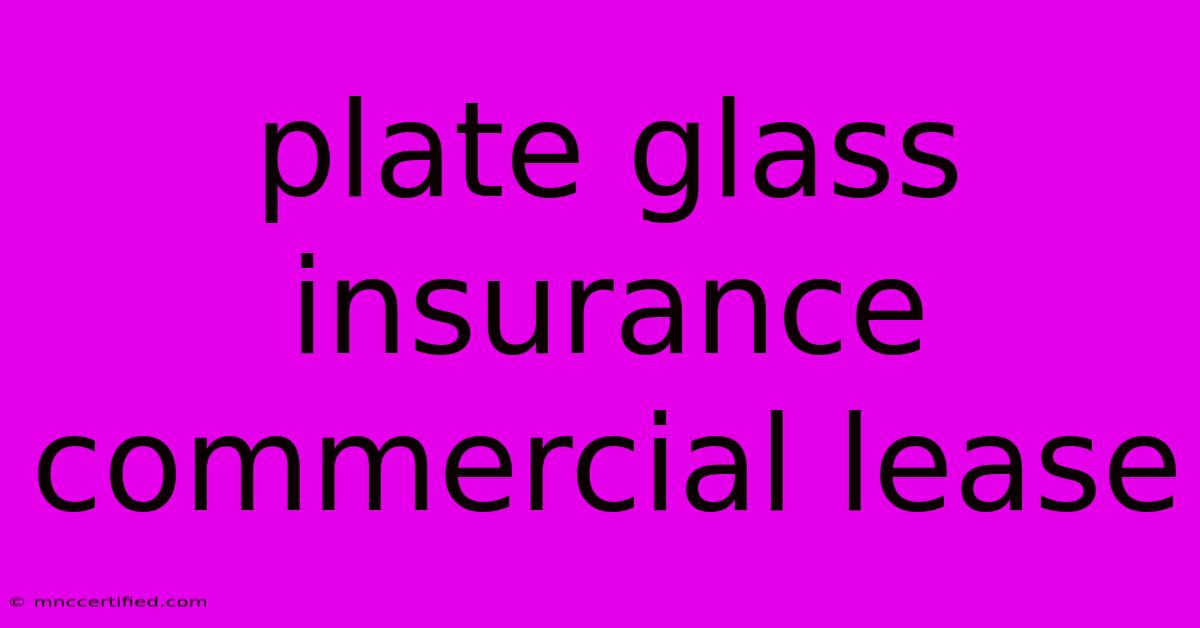 Plate Glass Insurance Commercial Lease