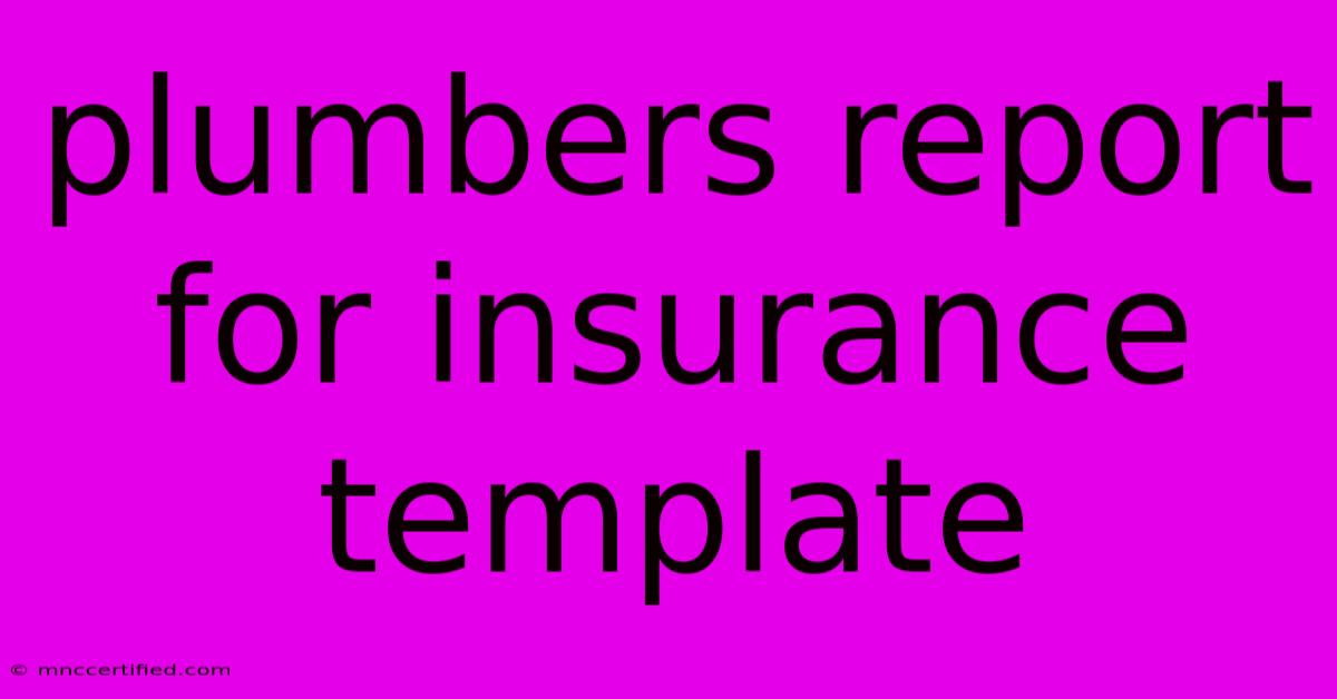 Plumbers Report For Insurance Template