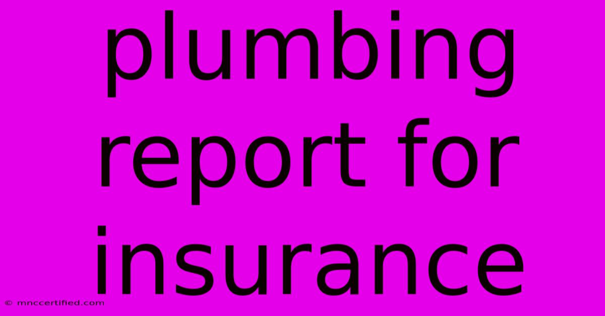 Plumbing Report For Insurance