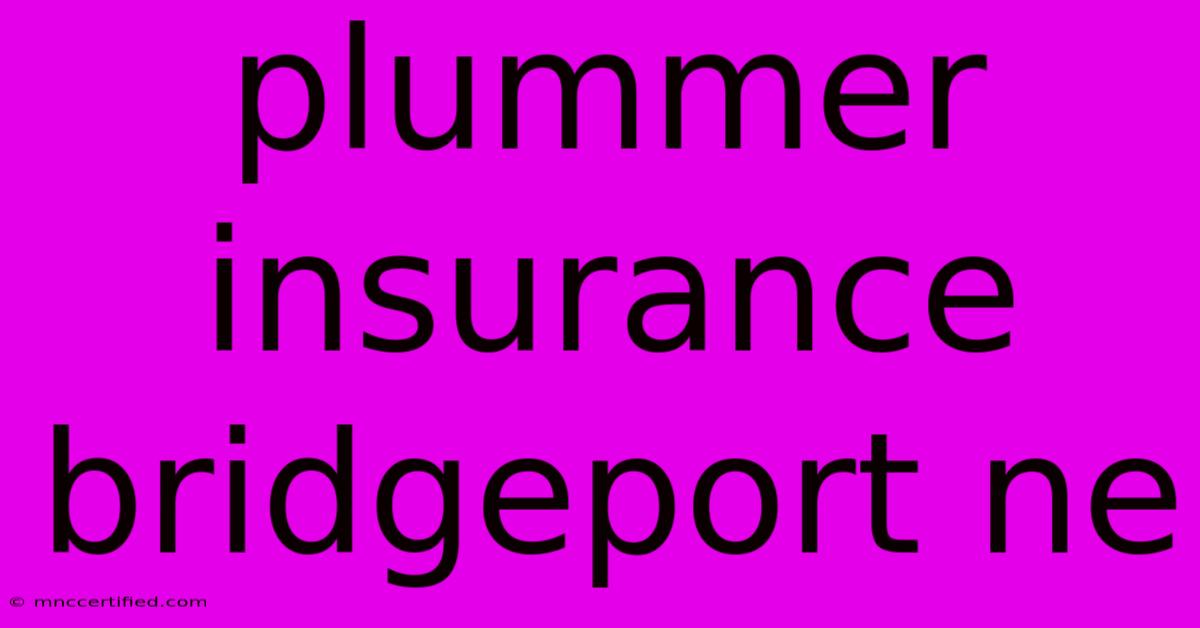 Plummer Insurance Bridgeport Ne