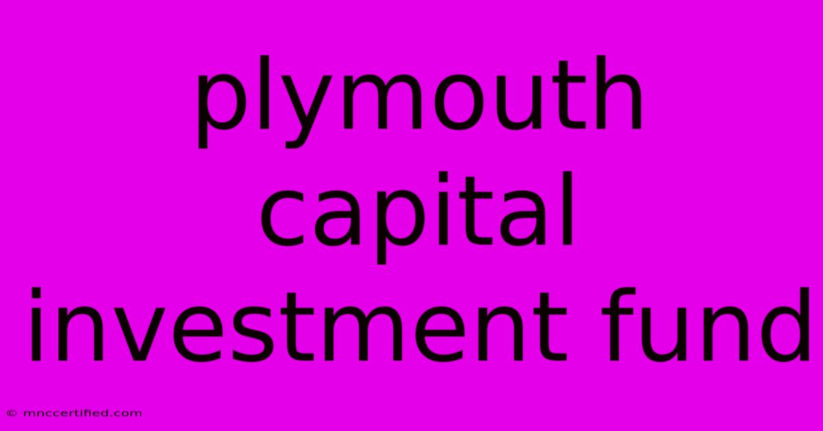 Plymouth Capital Investment Fund