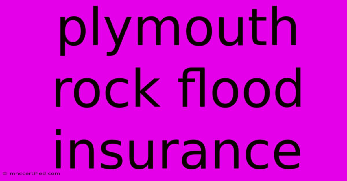 Plymouth Rock Flood Insurance