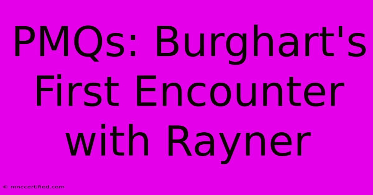 PMQs: Burghart's First Encounter With Rayner