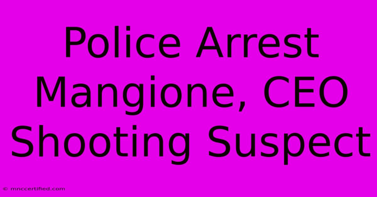 Police Arrest Mangione, CEO Shooting Suspect