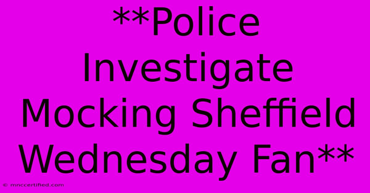 **Police Investigate Mocking Sheffield Wednesday Fan**