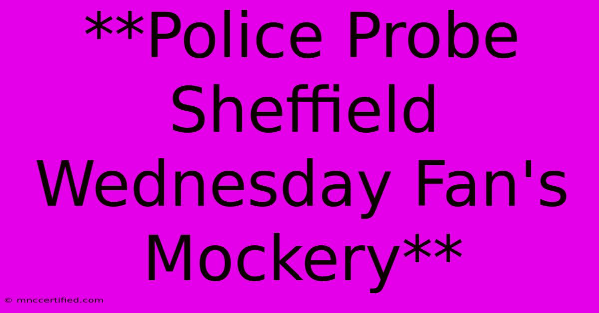 **Police Probe Sheffield Wednesday Fan's Mockery**