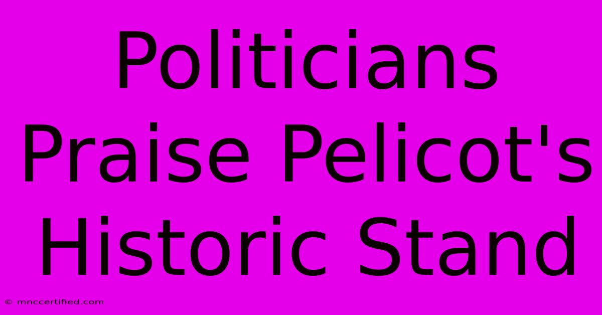 Politicians Praise Pelicot's Historic Stand