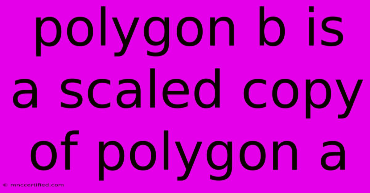 Polygon B Is A Scaled Copy Of Polygon A 