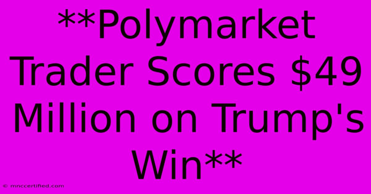 **Polymarket Trader Scores $49 Million On Trump's Win** 