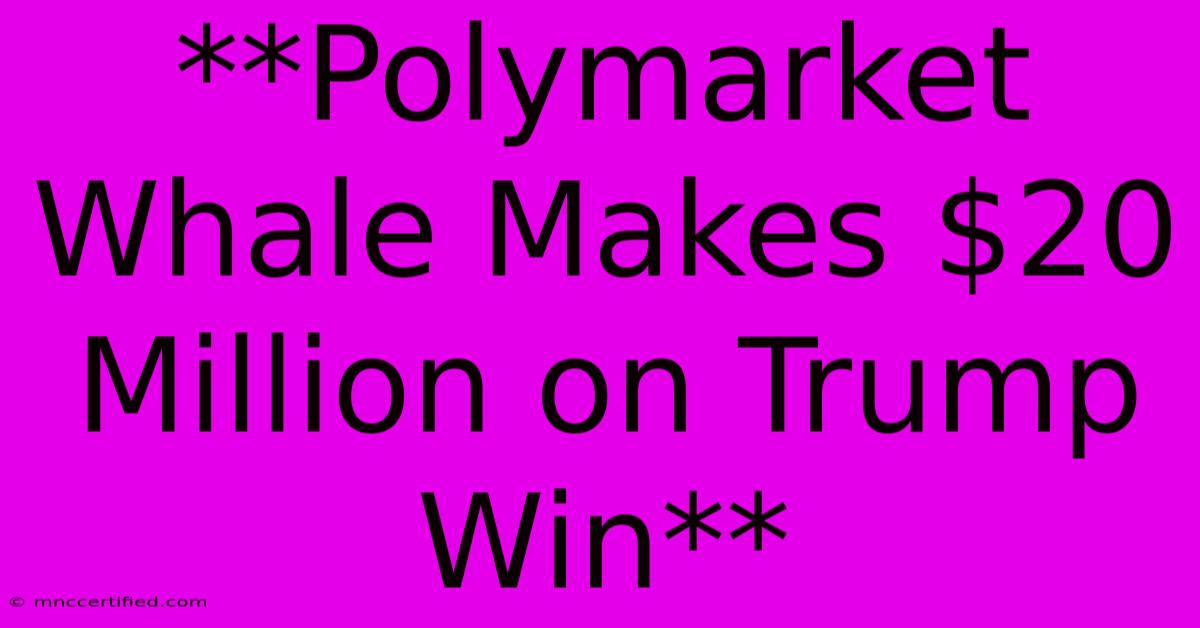 **Polymarket Whale Makes $20 Million On Trump Win**