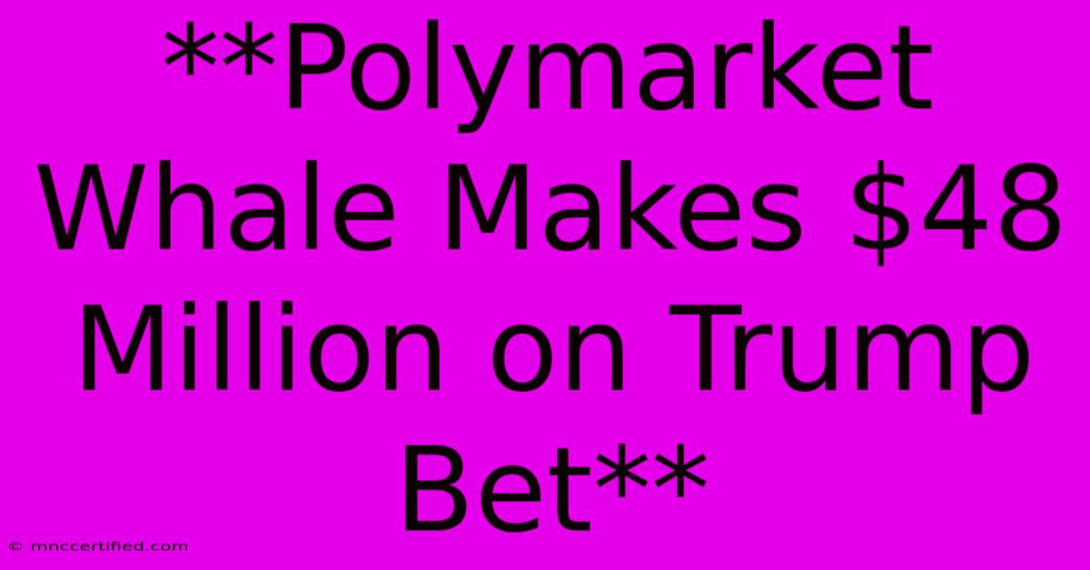 **Polymarket Whale Makes $48 Million On Trump Bet**