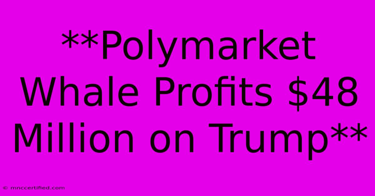 **Polymarket Whale Profits $48 Million On Trump** 