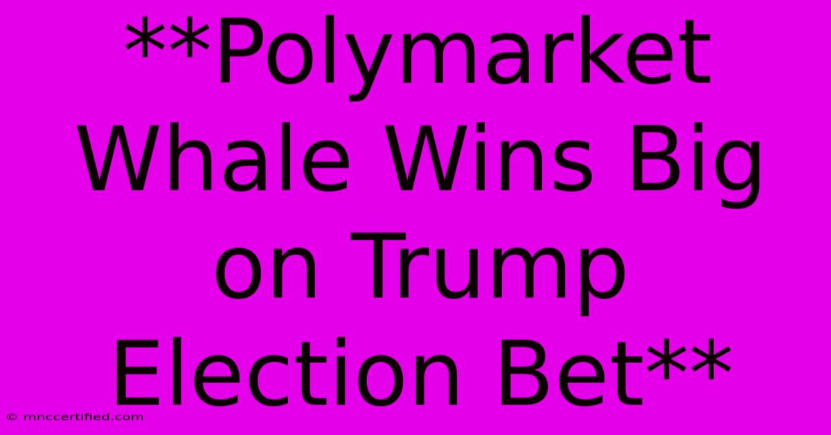 **Polymarket Whale Wins Big On Trump Election Bet**