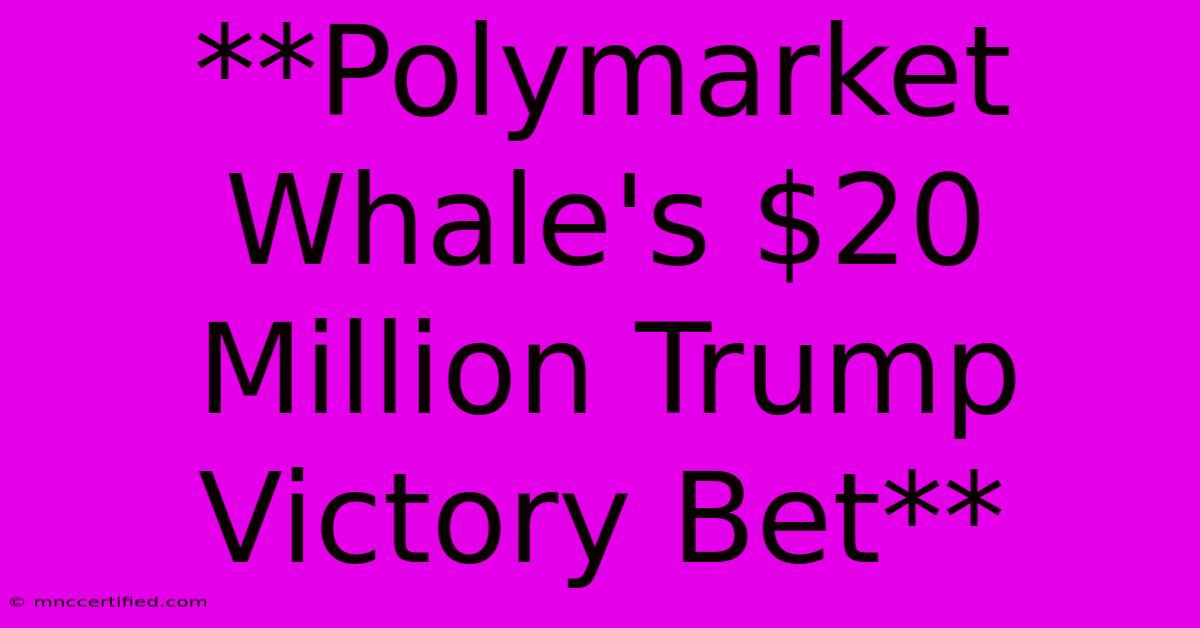 **Polymarket Whale's $20 Million Trump Victory Bet**