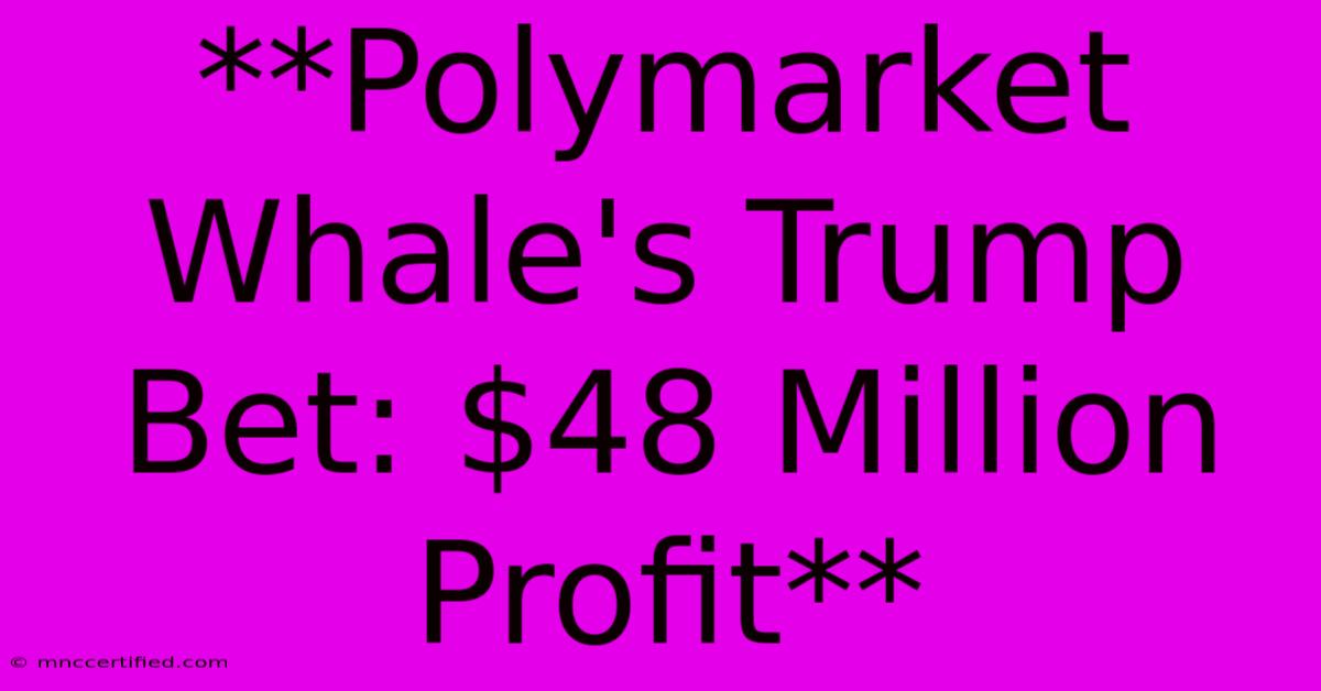 **Polymarket Whale's Trump Bet: $48 Million Profit**